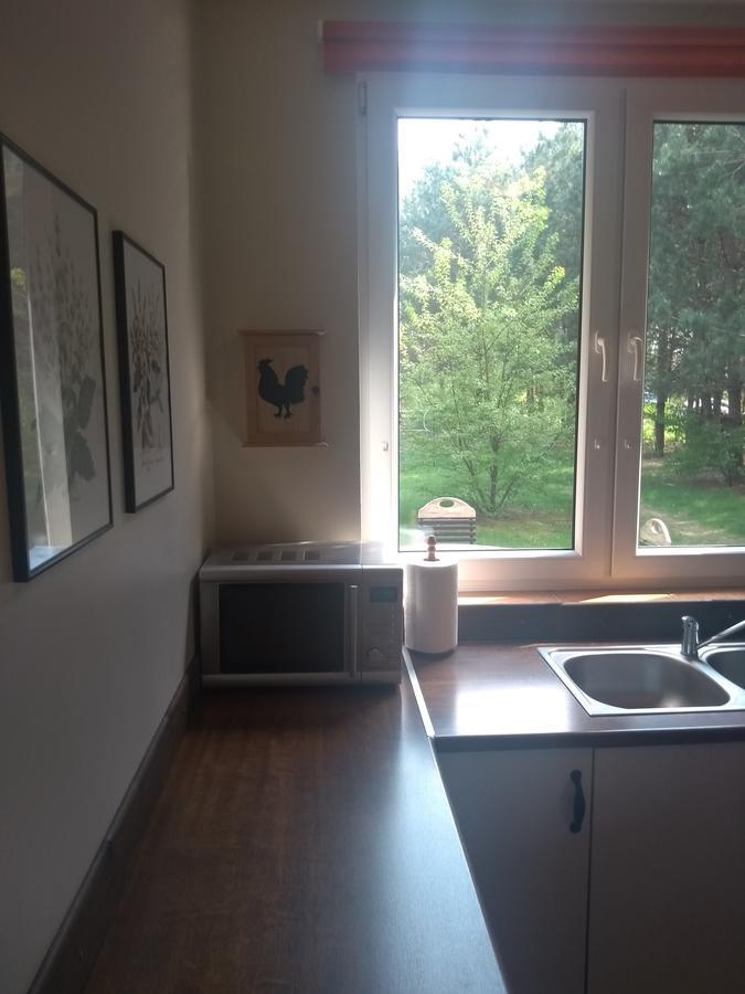 Villa Za Piecem à Guzowy Piec Extérieur photo